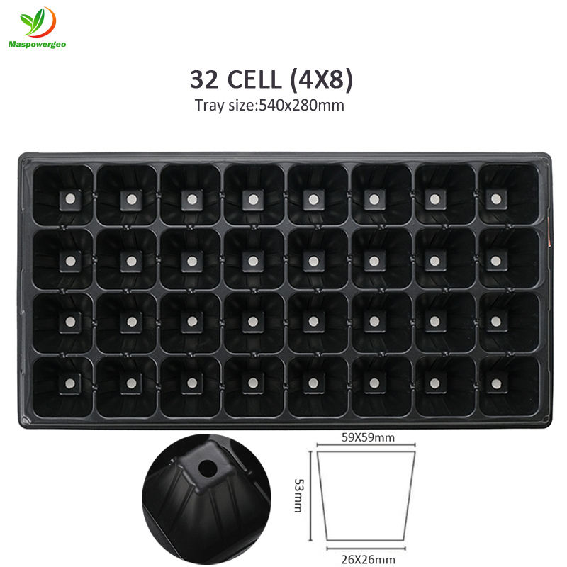PET 32 CELLULES 1mm