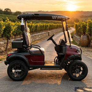 Système de gestion de l'énergie intelligent pour voiturette de golf électrique haute performance, certifié CE, pour l'approvisionnement des installations de golf des parcs côtiers - Product Image 1