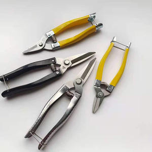 Ciseaux à fruits Luoding en acier inoxydable, grande tête, lame de 35 mm, manche noir, finition polie pour l'éclaircissement des oranges, mandarines et pamplemousses - Product Image 3