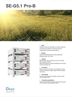 Deye SE-G5.1 Pro-B 5kwh 48v 100Ah Baterai Lithium Ion Lifepo4 Tegangan Tinggi untuk Penggunaan Rumah Tangga Penyimpanan Energi Surya Gudang EU