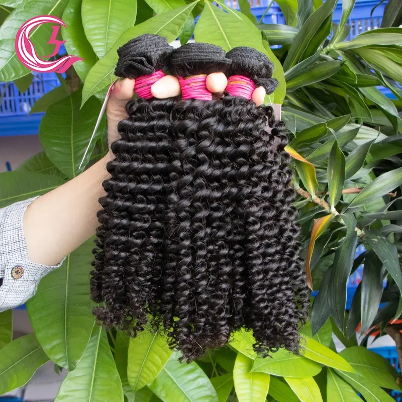 Trança de cabelo humano com 4 pacotes de 30 polegadas, malásia, cabelo preto, com fecho reto