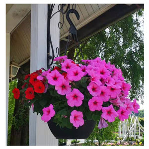 Pour Ronbo Sunrise facile à remplir Pot de fleur artificielle suspendu <span class=keywords><strong>balcon</strong></span> panier planteur pour jardin pour <span class=keywords><strong>balcon</strong></span> Patio ou cour - Product Image 4