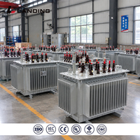Transformateur triphasé immergé dans l'huile, abaisseur de tension, 11kV/0.4kV, 100kVA à 1600kVA, IEC60076 CE