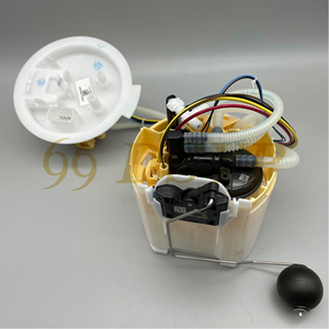 Ensemble de pompe à carburant de pièces de voiture DSYP pour <span class=keywords><strong>BMW</strong></span> E46 E90 E39 E83 <span class=keywords><strong>E53</strong></span> <span class=keywords><strong>X5</strong></span> E70 Z4 E89 16117373458 16117217261 16147363076 16146766177 - Product Image 5