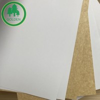 Wholesale 300gsm Printable Virgin Pulp CKB Paperboard for Takeaway Containers and Food Boxes Argentina Market
