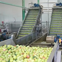 Extracteur de jus de fruits industriel commercial, mélangeur de pulpe et de pépins, en acier inoxydable de qualité alimentaire, haute efficacité, pour mangue