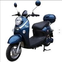 Skuter Listrik Dewasa Pabrikan 1000W 60V 2 Roda, Sepeda Motor Listrik Model Kura-Kura Emas yang Lucu untuk Perjalanan Kota