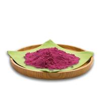 L'usine possède un stock important d'extrait de fruit du dragon en poudre, un antioxydant de qualité cosmétique hydrosoluble