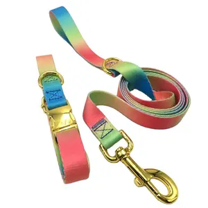 Pet Accessories Supplier Custom Gold Logo Dog Collar Buckle Multi-color Adjustable Nylon Dog Collar and Dog Leash Set