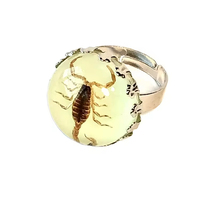 Bague en résine avec spécimen d'insecte réel qui brille dans le noir, scorpion jaune et noir, ajustable, style punk cool, pour homme, cadeau