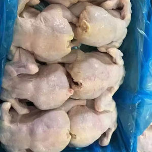 <span class=keywords><strong>Pollo</strong></span> <span class=keywords><strong>Entero</strong></span> Halal Congelado, <span class=keywords><strong>Precio</strong></span> Bajo, <span class=keywords><strong>Precio</strong></span> Competitivo, Alta Calidad, Sacrificado a Mano - Product Image 1