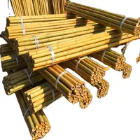 Bâtonnets de Bambou brut pour la plantation des pépinières, matériel en bois de Bambou personnalisé