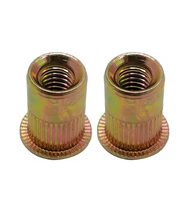 Terlaris mur paku keling kepala terbenam M3 M4 M5 M6 M8 M10 M12 kepala datar Knurled berulir kacang keling buta