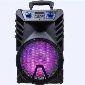 SONICNY OUTDOOR KARAOKE DANCING HOME MOBILE WATERPROOF SIMPLE USB SET 12 INCH FACTORY SPEAKER