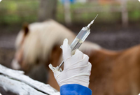 Seringue Vétérinaire à Injection, Dosage Visible pour Bétail et Volailles, seringa veterinaria seringue vétérinaire