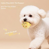 Nouvel Arrivage Jouet pour Chien : Petite Balle en Peluche à Picots Couineuse, Jouet à Mâcher pour Nettoyage des Dents, Anti-Stress, Balle Interactive Rebondissante à Libération Lente