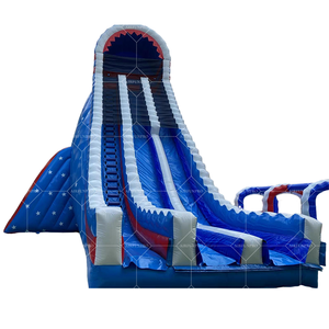 Château gonflable de glissière sèche de PVC pour des enfants pour des jeux de saut d'intérieur et extérieurs de toboggan et de videur - Product Image 5