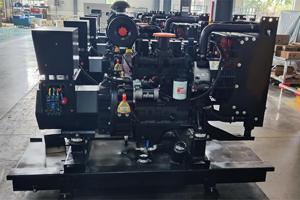 Máy phát điện <span class=keywords><strong>diesel</strong></span> chất lượng cao giá nhà máy Leader Power, 50/60Hz, 50kw, <span class=keywords><strong>60kva</strong></span>, ba pha, tiếng ồn thấp, làm mát bằng nước, hoạt động êm ái - Product Image 5