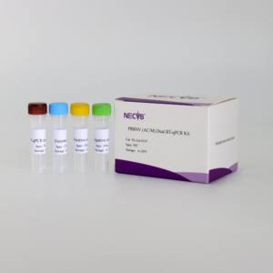 ชุดมืออาชีพ: แยกแยะความแตกต่างของ prrsv อเมริกันคลาสสิกและสายพันธุ์กลายพันธุ์ผ่านทางหลอดฟลูออเรสเซนต์คู่ RT - PCR - Product Image 3