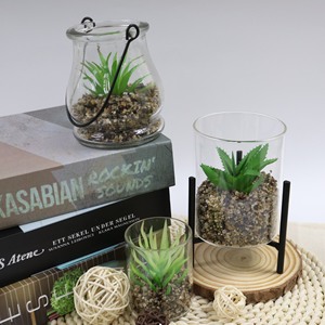 Plantas <span class=keywords><strong>suculentas</strong></span> vivas Sala <span class=keywords><strong>de</strong></span> estar Planta Macetas <span class=keywords><strong>suculentas</strong></span> <span class=keywords><strong>Venta</strong></span> <span class=keywords><strong>al</strong></span> <span class=keywords><strong>por</strong></span> <span class=keywords><strong>mayor</strong></span> <span class=keywords><strong>Venta</strong></span> caliente Mini Macetas para plantas <span class=keywords><strong>suculentas</strong></span> - Product Image 5
