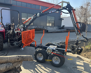 Remorque forestière et agricole certifiée CE avec grue réglable pour le transport de bois, grue à grumes, remorque à bois - Product Image 5