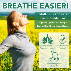 아센셜랩스 허벌 보충제 멀레인 구미 개인 상표 면역 지원 호흡기 폐 클렌징 멀레인 구미 (폐 건강용) - Product Image 2