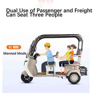 Wholesale 1000W Adult Smart Tricycle Electric <strong>Motorcycle</strong> Family Use Electric Tricycle Scooter <strong>with</strong> <strong>Roof</strong> - Product Image 6