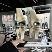 Nouveau modèle 2026 de mannequin détachable pour l'implantation de prothèse de genou double articulée en argent, idéal pour la science médicale et la formation en prothèses de genou.