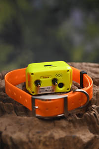 Collier GPS pour <span class=keywords><strong>chien</strong></span> IK122T Pro 4G, <span class=keywords><strong>prix</strong></span> d'usine Icar, traceur pour <span class=keywords><strong>chien</strong></span> <span class=keywords><strong>de</strong></span> <span class=keywords><strong>chasse</strong></span>, entraînement par électrochoc, étanche IP68, GPRS en temps réel, Beidou AGPS - Product Image 6