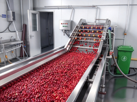 Ligne de traitement entièrement automatique des fruits spéciaux (Argousier, Dattes, Pomme, Micromalus) avec dénoyauteur et remplissage aseptique