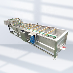 Máquina Automática para Lavar y Limpiar Vegetales, Máquina para Escaldar con Lavadora de Repollo y Limpiadora de Lechuga - Product Image 4