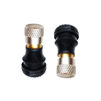 Válvulas sin cámara Ninebot para patinete (Skate Workshop)-SKU S00139 (1 unidad)
