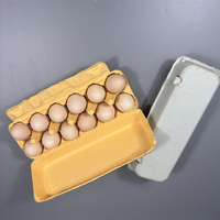 Boîte d'œufs 12 cellules avec fabricant de pâte à papier moulée biodégradable dégradable à bas prix boîte à œufs plateau à œufs
