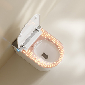S024 Smart <strong>Toilet</strong> Auto Open/Close Heated Seat Instant Warm Water Dryer Modern Elongated Bidet Intelligent One Piece <strong>Toilet</strong> - Product Image 2
