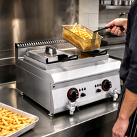 Équipement de restauration pour restaurants, friteuse de table en acier inoxydable à double cuve, friteuse à frites pour usage en cuisine