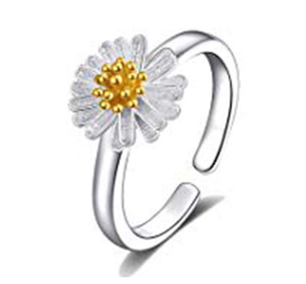 ring01