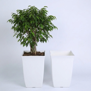 Modern Minimalist Tall Square Planter <b>Pot</b> OEM Logo <b>White</b> Color For Home & Garden, Office Decor, Landscape Projects - Product Image 4