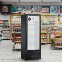 Réfrigérateur vertical à une porte LC-230, refroidisseur de boissons, réfrigérateur commercial, vitrine réfrigérée avec porte en verre, éclairage LED