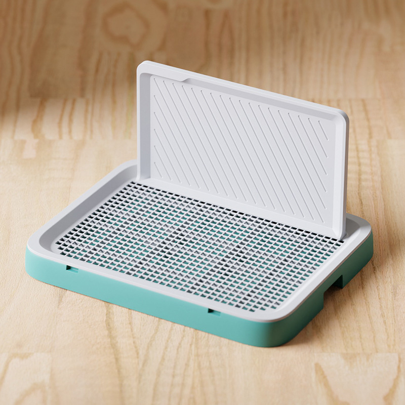 Verde 65*49*5cm con la parete