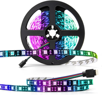 Tira de LED RGB de 10M 5050 SMD, 60LED/M, 12V/24V, 144 dirección programable inteligente WS2812B, píxel direccionable individualmente por USB WS2812
