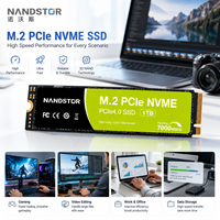 SSD Internal PCIe Gen4 M.2 NVMe Nandstor Wholesale 128GB 256GB 512GB 1TB 2TB Performa Tinggi untuk Desktop Laptop