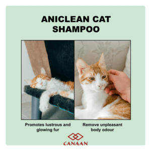 แชมพูแมวเป็นมิตรกับสิ่งแวดล้อมใช้ในห้องน้ำแชมพูแมวลูกแมว - Product Image 4