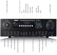 Amplificateur de scène HIFI Bluetooth professionnel OEM haute puissance avec anti-Feedback USB et basses puissantes pour les fans de karaoké
