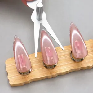 Juego de 6 Herramientas Magnéticas para Uñas, Efecto Ojo de Gato, Puntas Francesas, Imanes en Forma de Corazón, Herramientas para Esmalte de Uñas en Gel, Manicura - Product Image 2