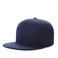 Gorra de Hip-Hop para hombres, modelos explosiones, Gorras Planas con gran promoción