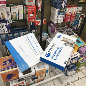 Mairui nhà máy giá nhanh chóng Kit kiểm tra Giardia chẩn đoán cho Pet Dog và mèo bệnh truyền nhiễm điều trị - Product Image 4