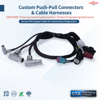 Cable de Diagnóstico Automotriz B-THG Personalizado con Cubierta de PVC, Longitud/Pines/Conectores Personalizables para Automoción/Vehículos Eléctricos/Aeroespacial