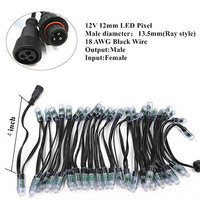Lumières LED Pixel Ws2811 5v 12v Rgb Rgbw Imperméables, Lumières LED Intelligentes pour Noël, Module Lumineux LED