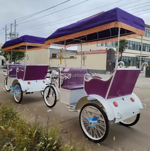 Triciclos eléctricos de 3 ruedas de 800W para adultos Motocicleta eléctrica de pasajeros Transporte especial - Product Image 5