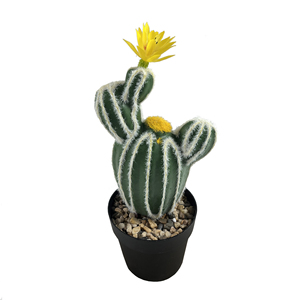 Sempreverdi piante simulate di Cactus palla spinosa vaso succulento pianta verde tropicale decorazione della casa-149 - Product Image 2